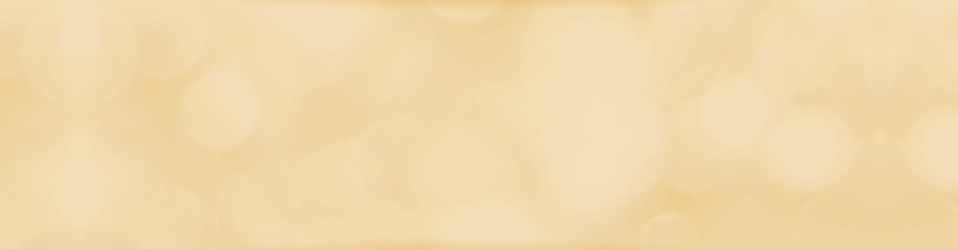 layer slider